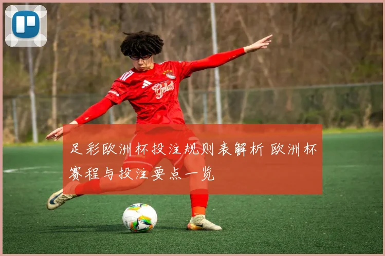 足彩欧洲杯投注规则表解析 欧洲杯赛程与投注要点一览