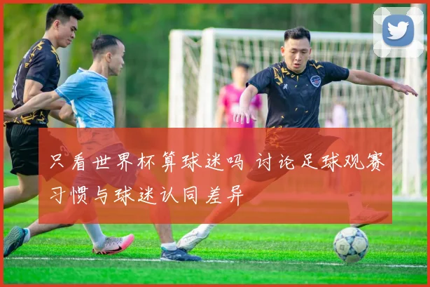 只看世界杯算球迷吗 讨论足球观赛习惯与球迷认同差异